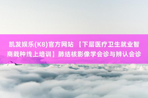 凯发娱乐(K8)官方网站 【下层医疗卫生就业智商栽种线上培训】肺结核影像学会诊与辨认会诊