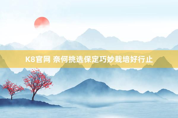K8官网 奈何挑选保定巧妙栽培好行止