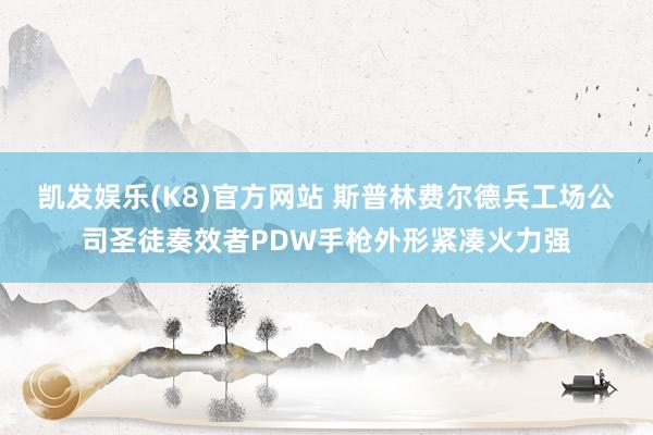 凯发娱乐(K8)官方网站 斯普林费尔德兵工场公司圣徒奏效者PDW手枪外形紧凑火力强