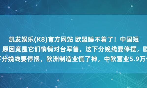 凯发娱乐(K8)官方网站 欧盟睡不着了！中国短暂制裁7家欧洲军工企业，原因竟是它们悄悄对台军售，这下分娩线要停摆，欧洲制造业慌了神，中欧营业5.9万亿的大生