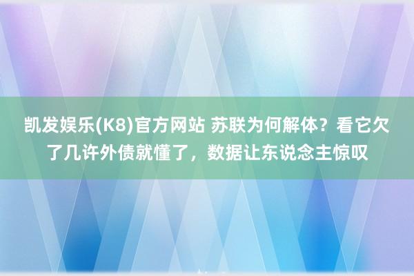 凯发娱乐(K8)官方网站 苏联为何解体？看它欠了几许外债就懂了，数据让东说念主惊叹