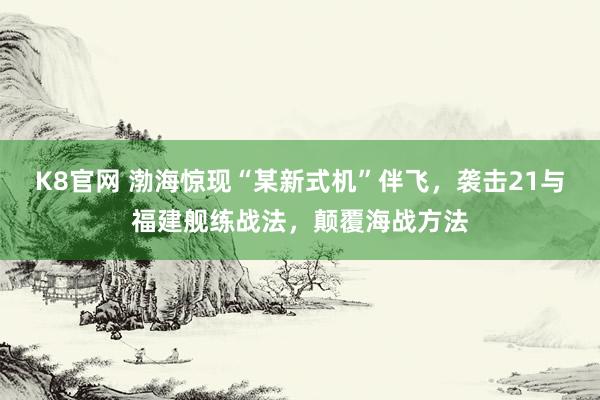 K8官网 渤海惊现“某新式机”伴飞，袭击21与福建舰练战法，颠覆海战方法