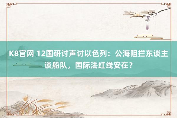 K8官网 12国研讨声讨以色列：公海阻拦东谈主谈船队，国际法红线安在？