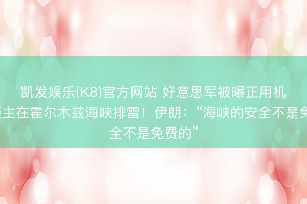 凯发娱乐(K8)官方网站 好意思军被曝正用机器东谈主在霍尔木兹海峡排雷！伊朗：“海峡的安全不是免费的”