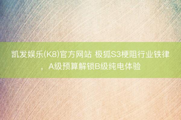 凯发娱乐(K8)官方网站 极狐S3梗阻行业铁律，A级预算解锁B级纯电体验